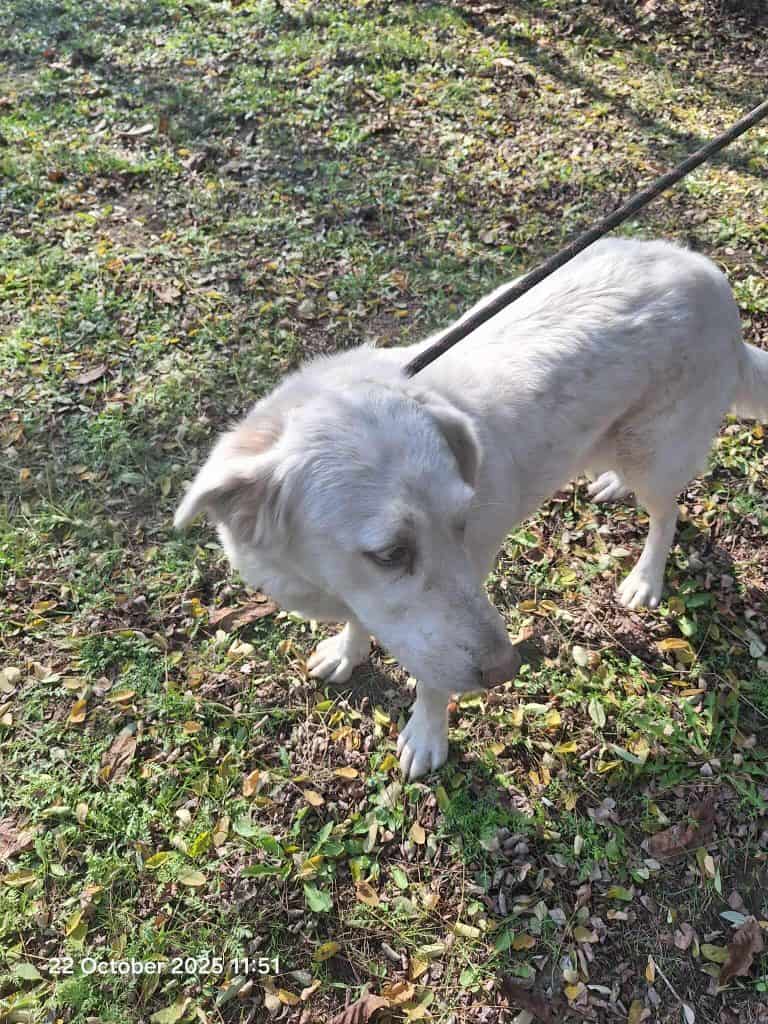 568684019_717848957986712_5410689792053587645_n