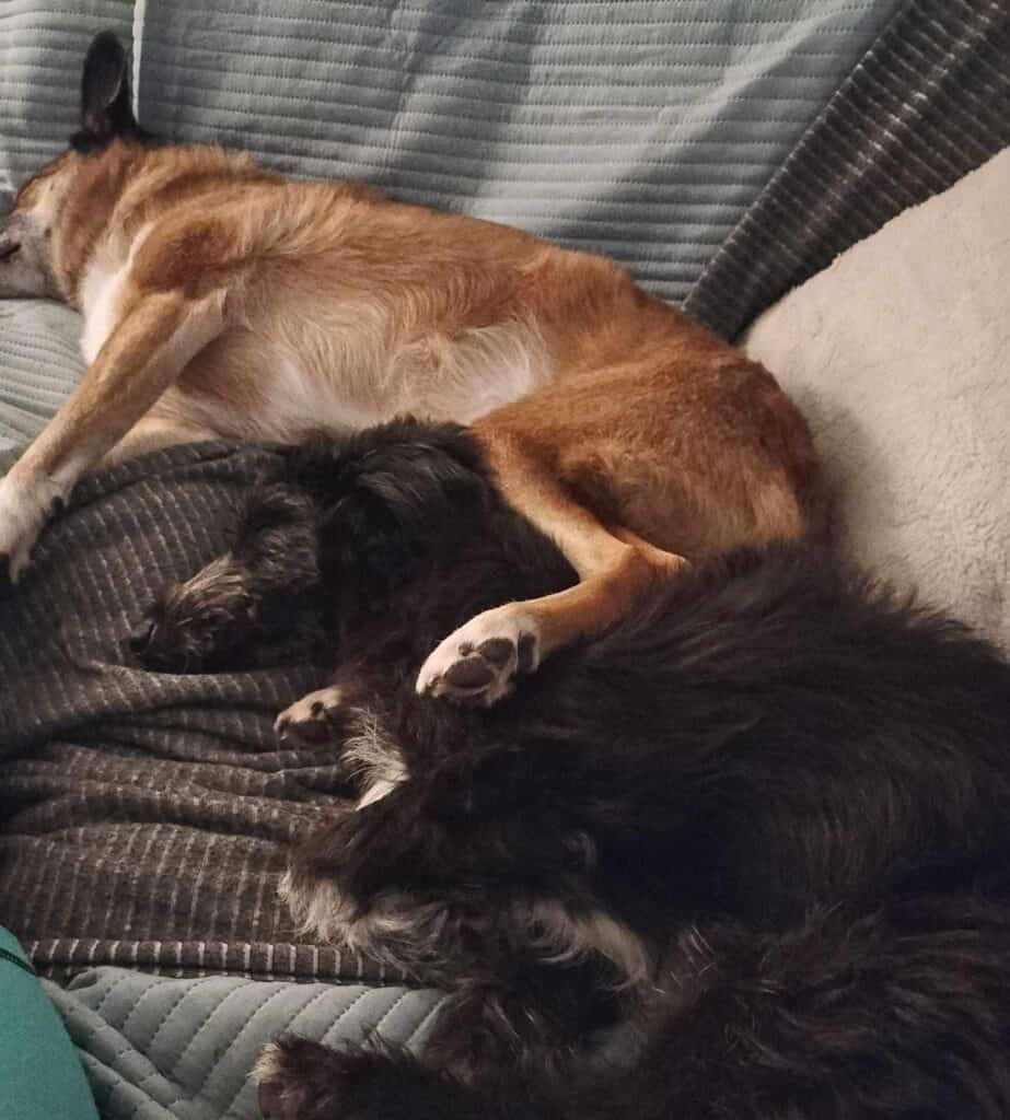 88E1433E-FEDD-4BFC-AF18-ACB66CD6C135