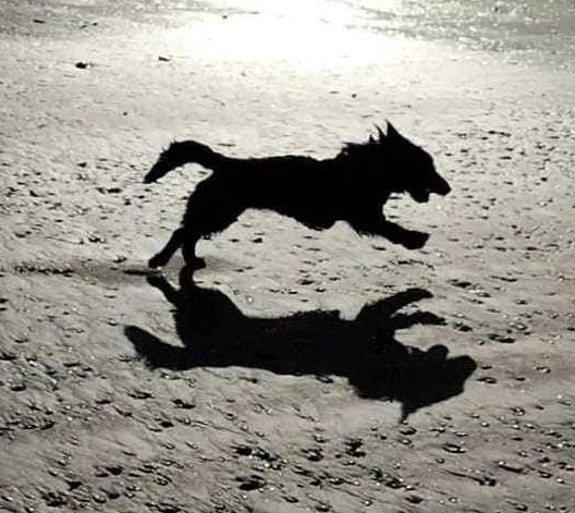 8FCC8A50-E61B-46F9-8397-98DB01E0F5D4