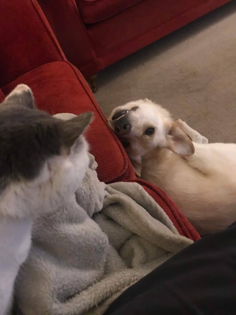 927B617A-FAAB-45B4-90D7-DE12D20DA8FD