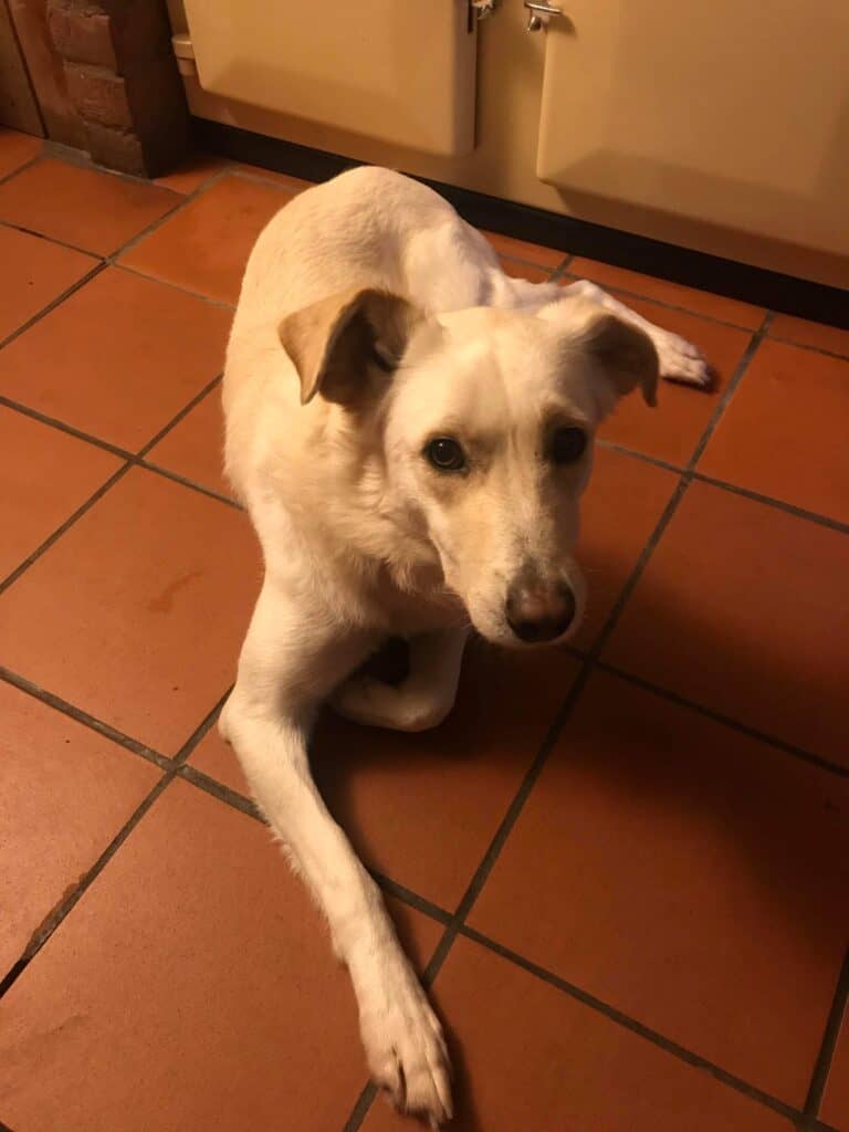 C47D69BE-06C4-4D8B-9BA9-8147F47F3FEE