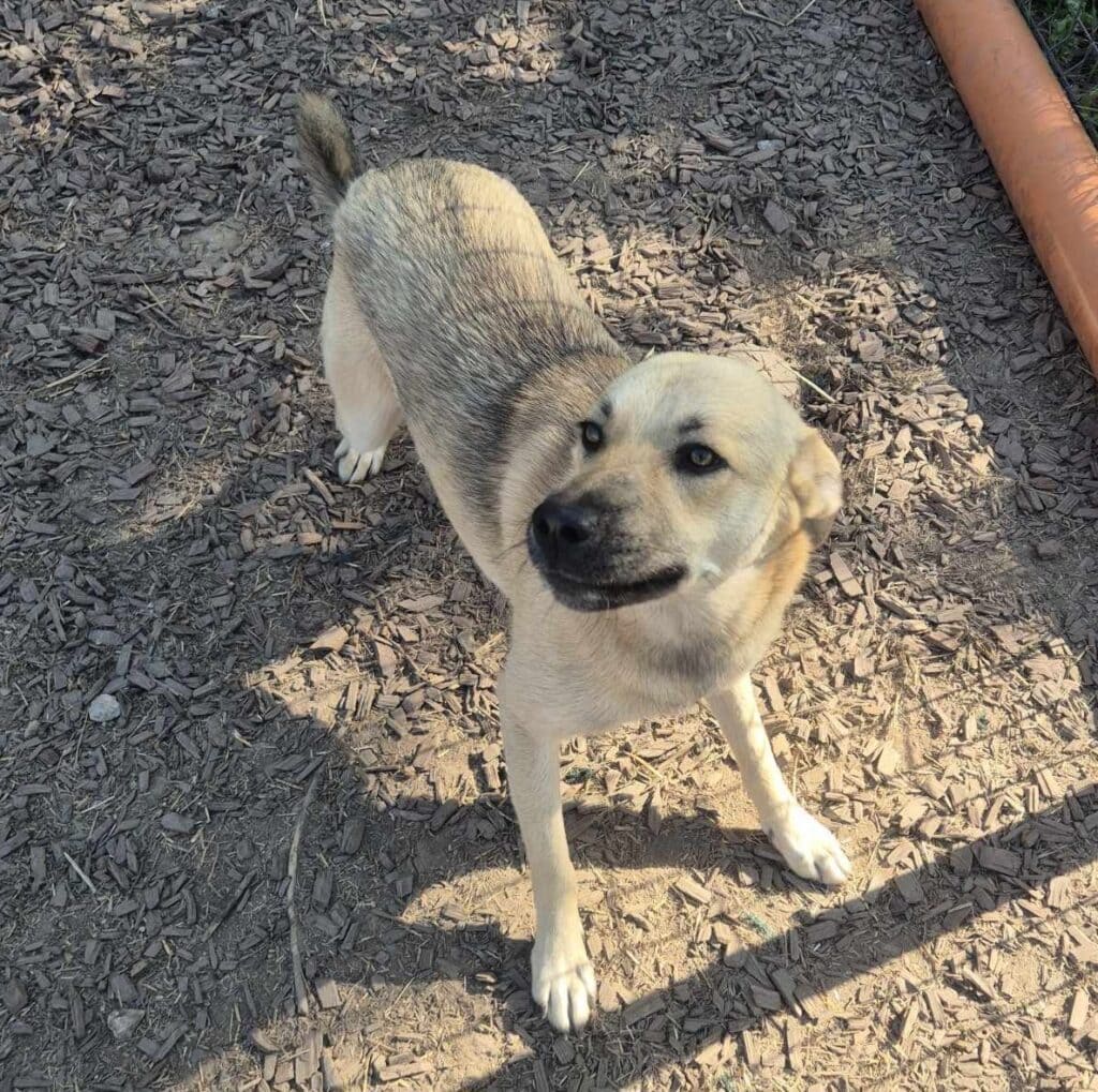 inbound1200982593588942116