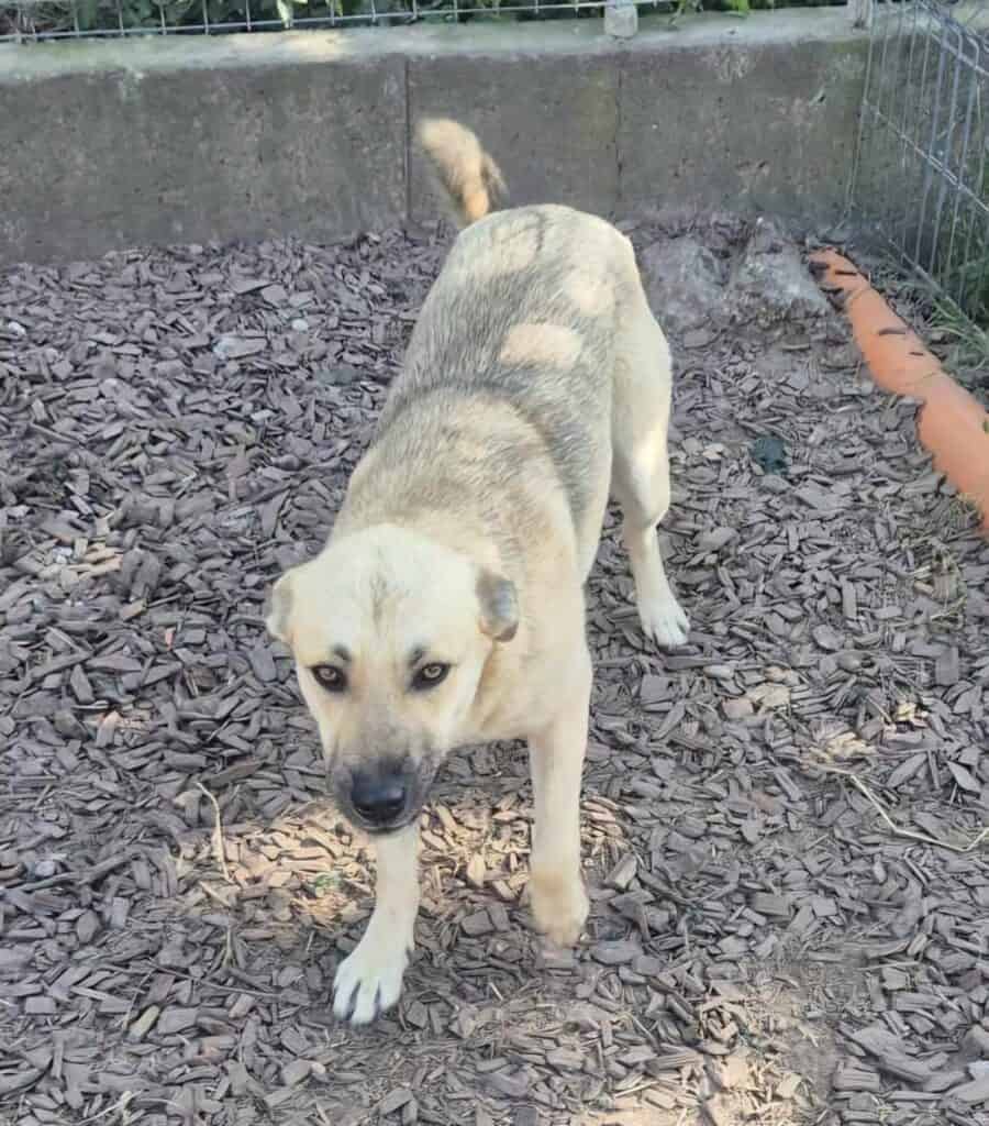 inbound872550668278564784