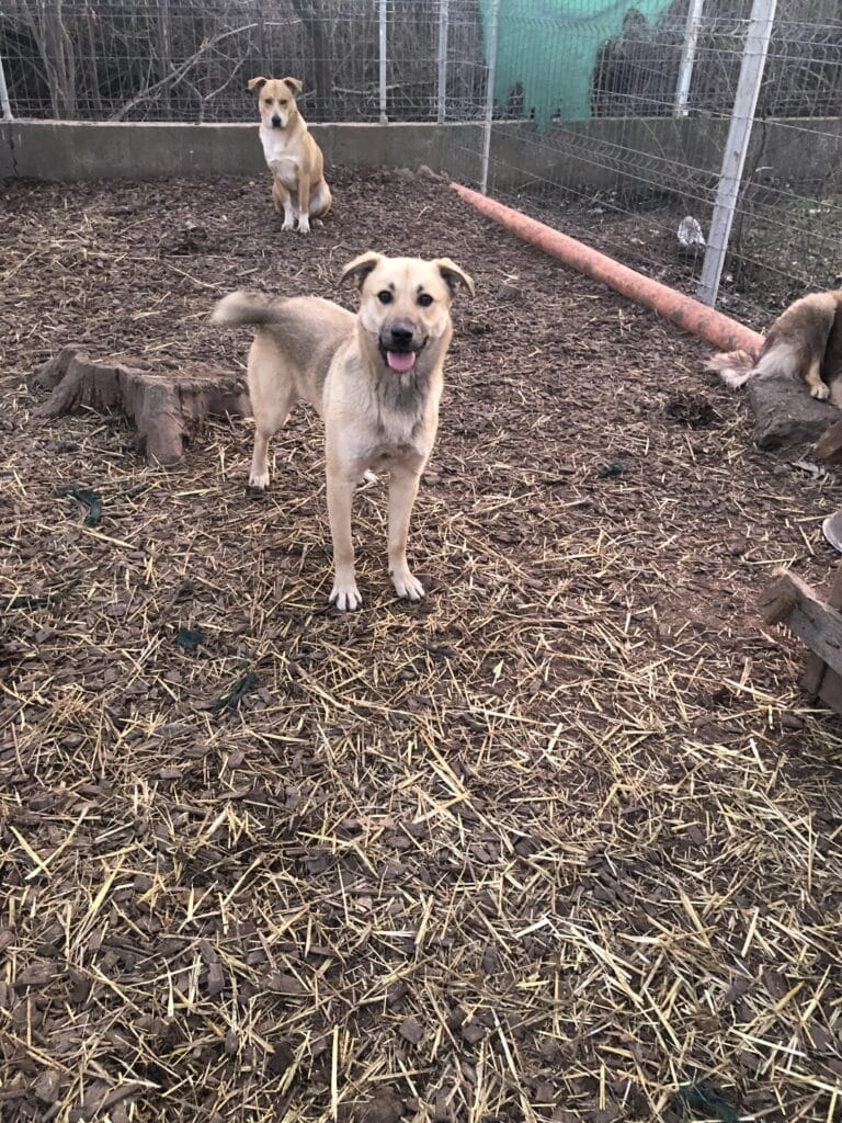 received_1076155423626976