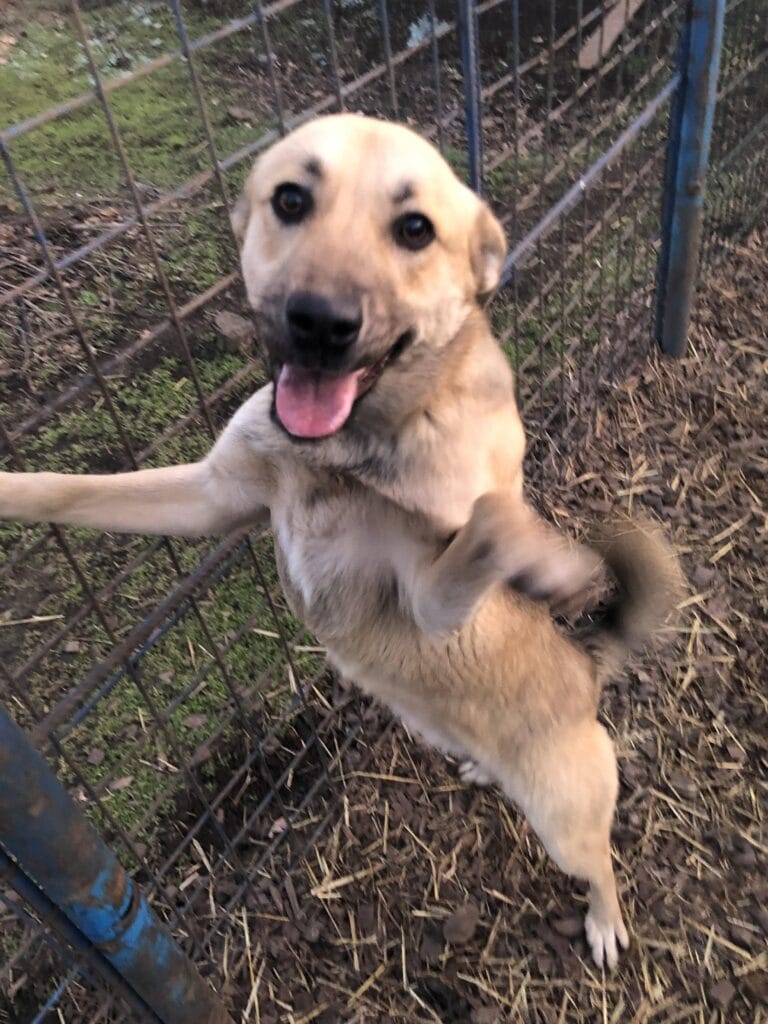 received_1160949824892845