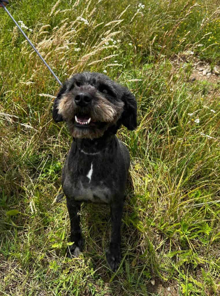 received_1511563019716633