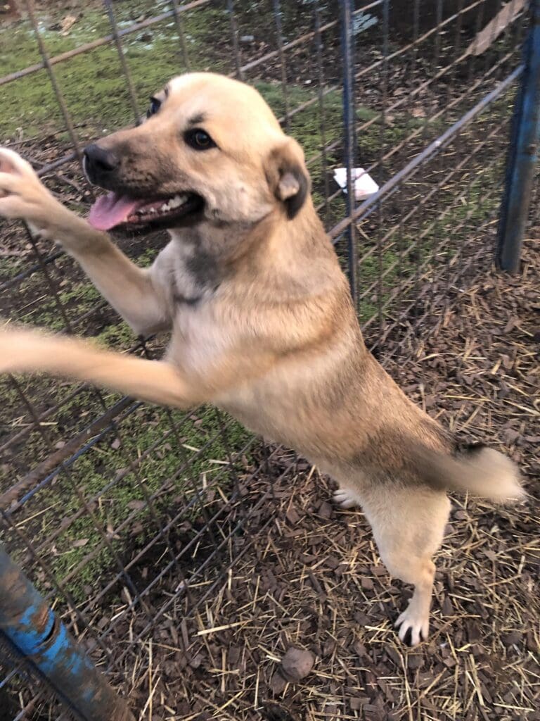 received_1570988023720925