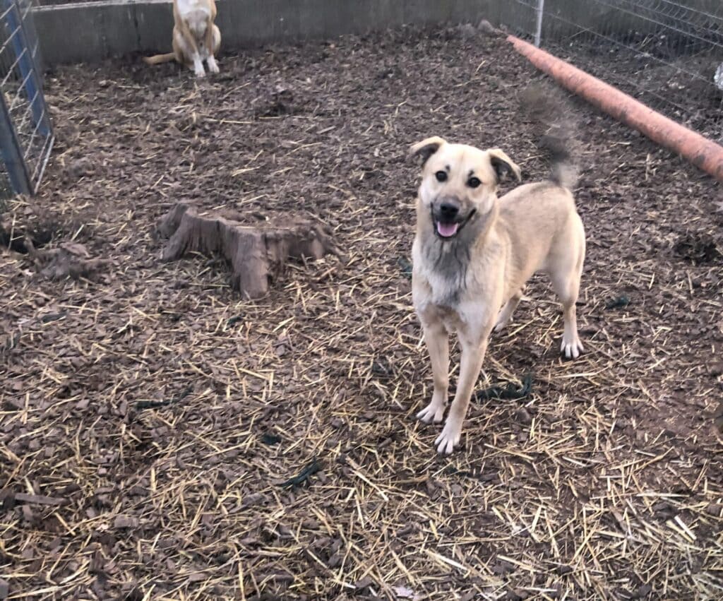 received_1605991940258234