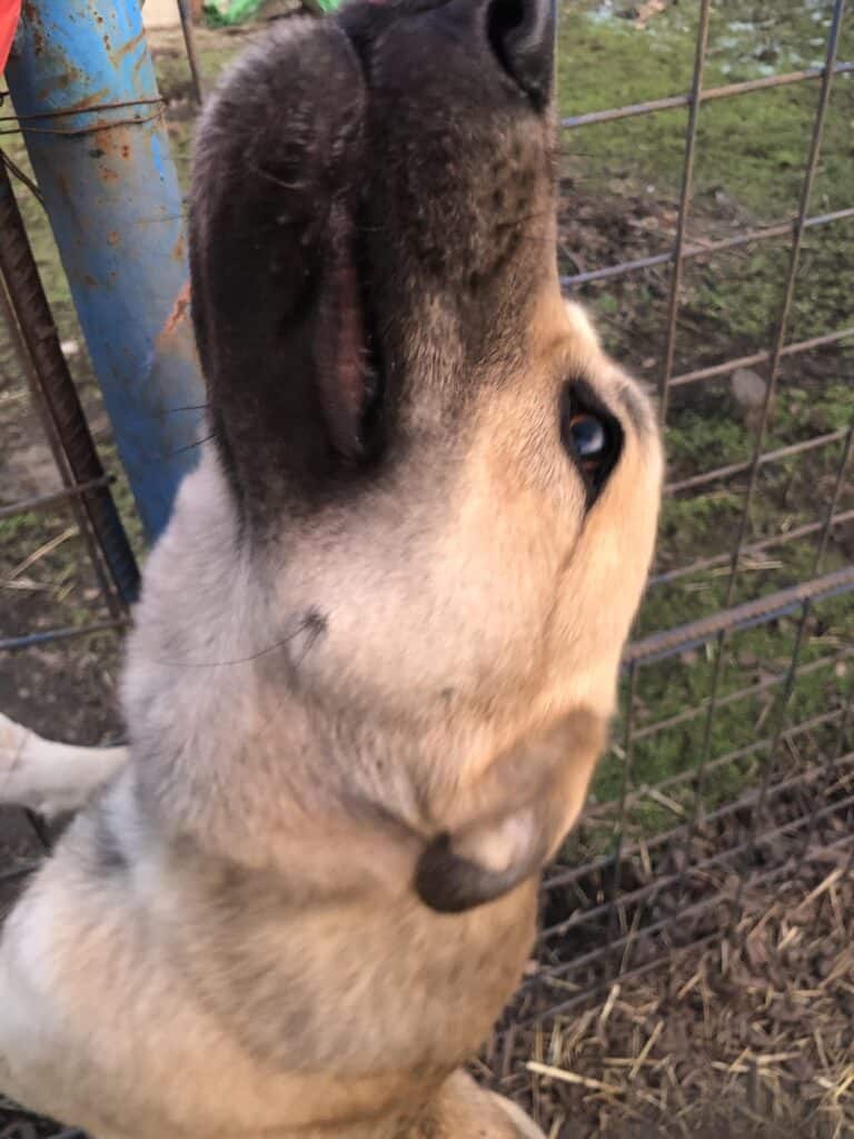 received_770883311563050