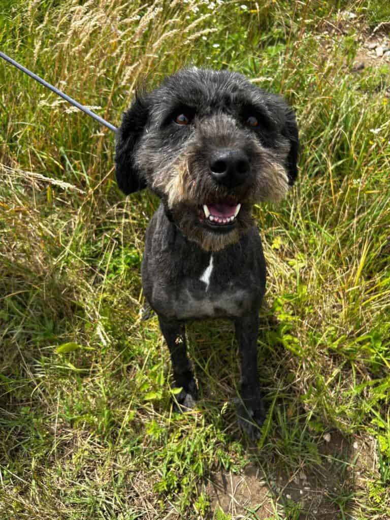 received_825319469515511