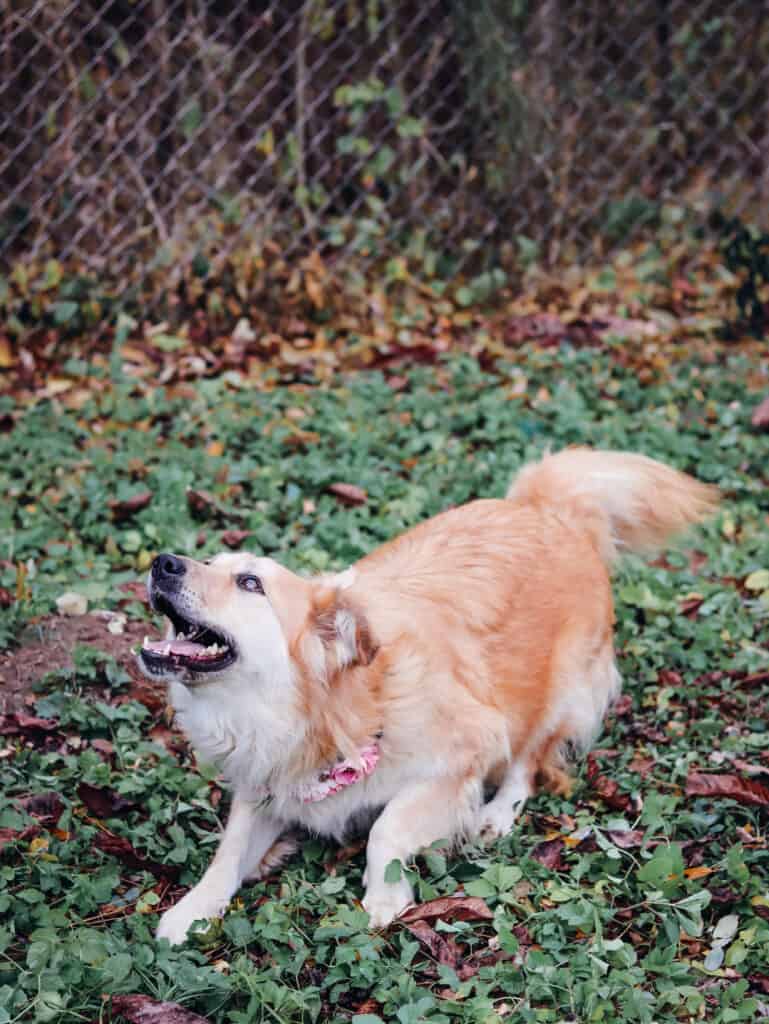 20231115122543_IMG_0761