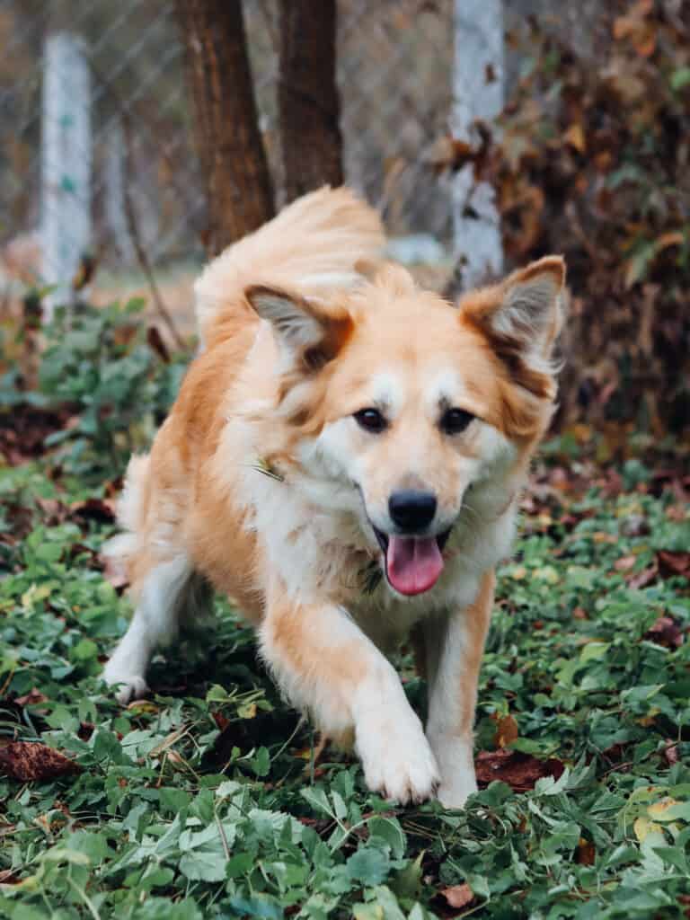 20231115122630_IMG_0768