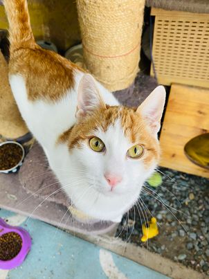 387325389_1406691836868344_2581964470441527337_n