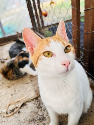 394259168_646676264218595_964934995464281401_n