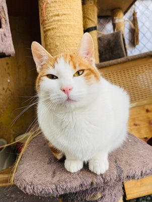 400198545_7580256482002843_7745352756708440366_n