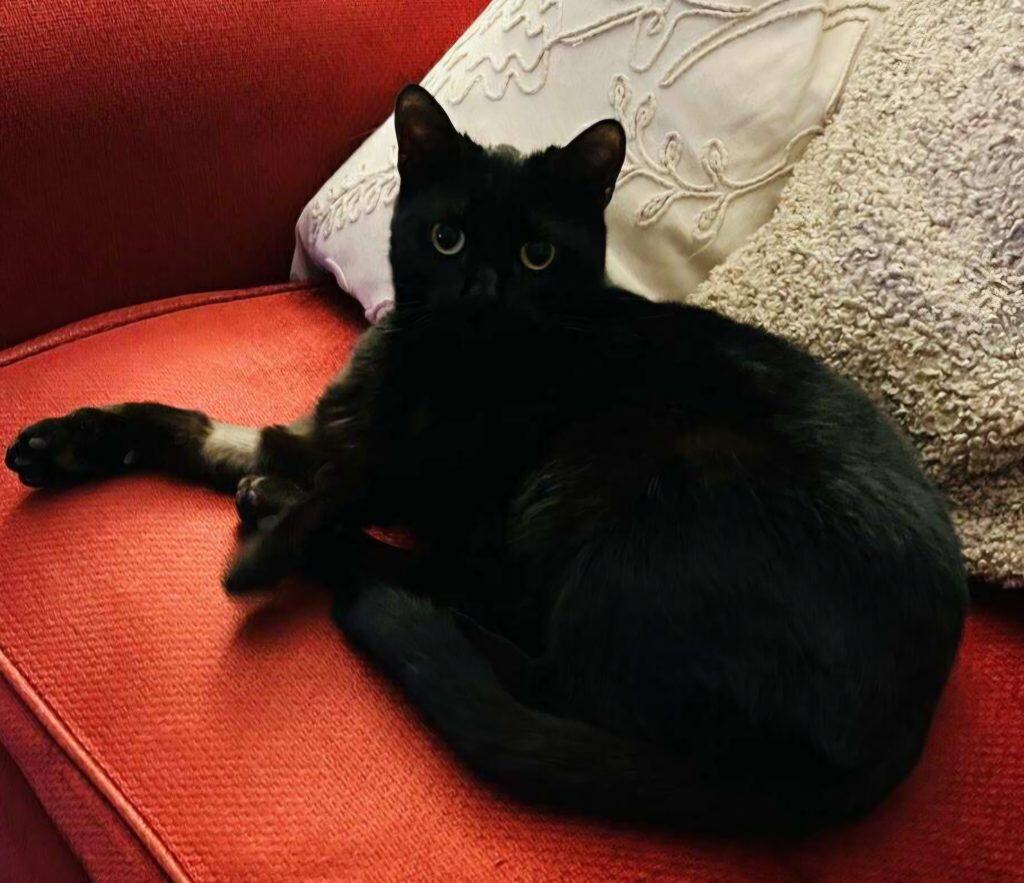 inbound1993590545349054753