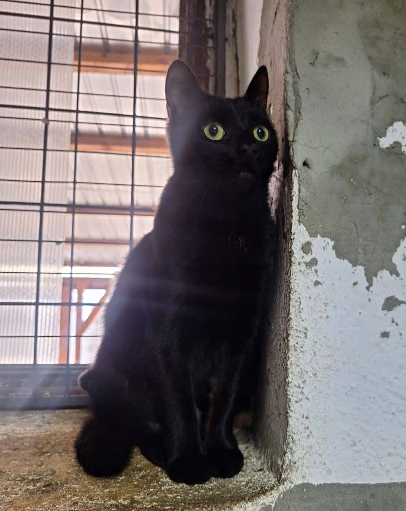 inbound6357430364457055562