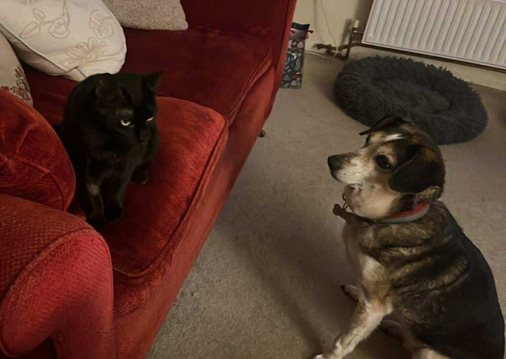 inbound6740810546805002975