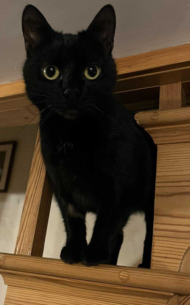 inbound7986655131641235924