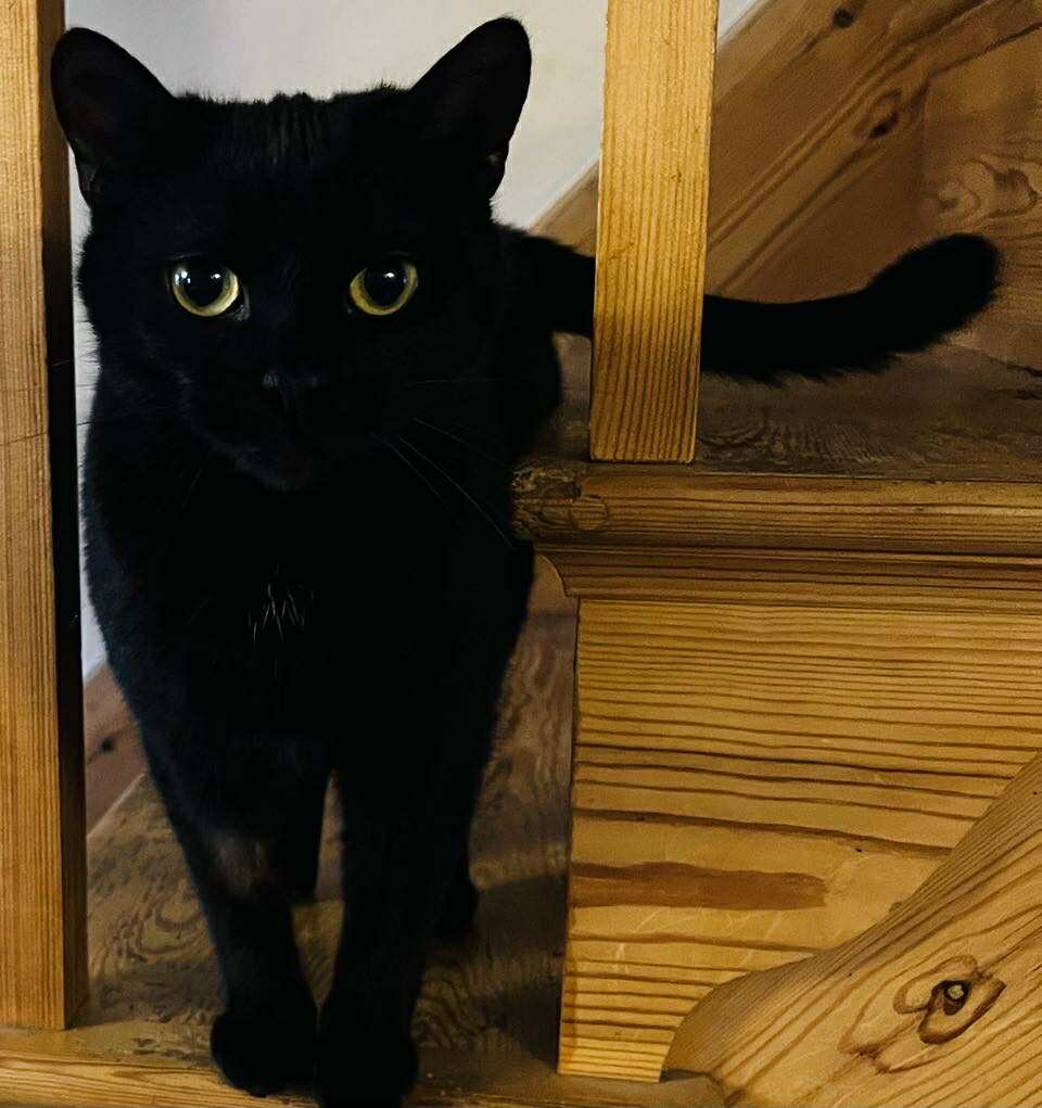 inbound8996063084789935065