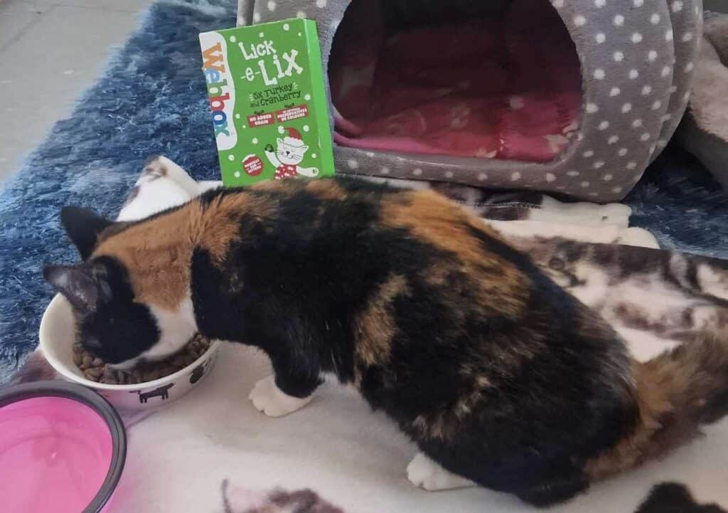 5EC5A505-EB1F-4338-A686-D9003638E3F2