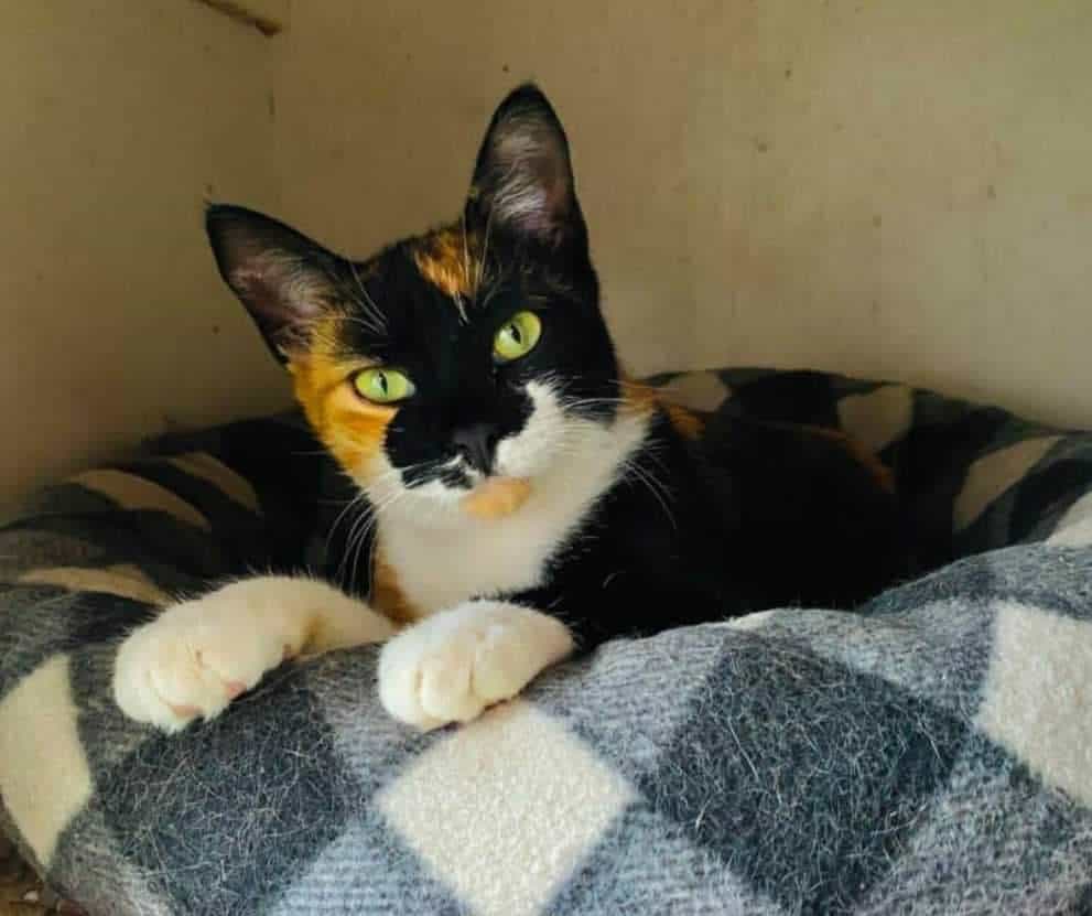 FA470834-12F2-412A-8C71-C8510F175759