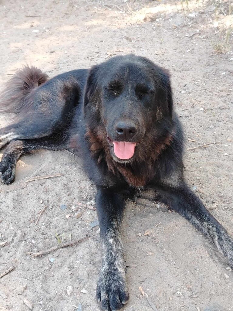 received_1196030331708892