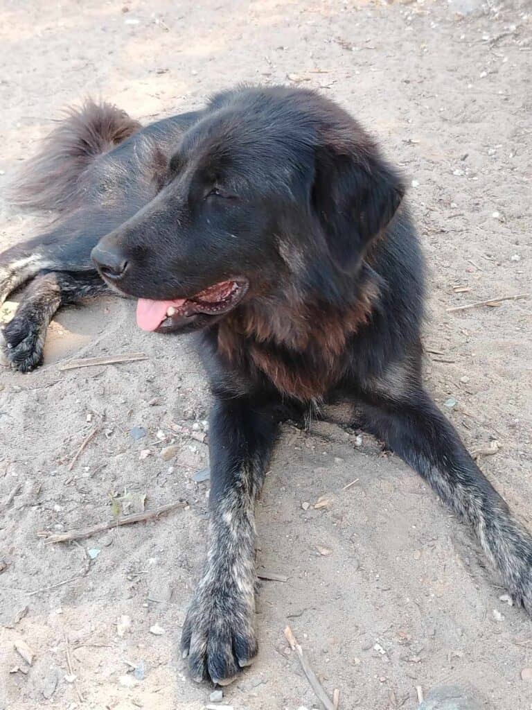 received_462095749796580