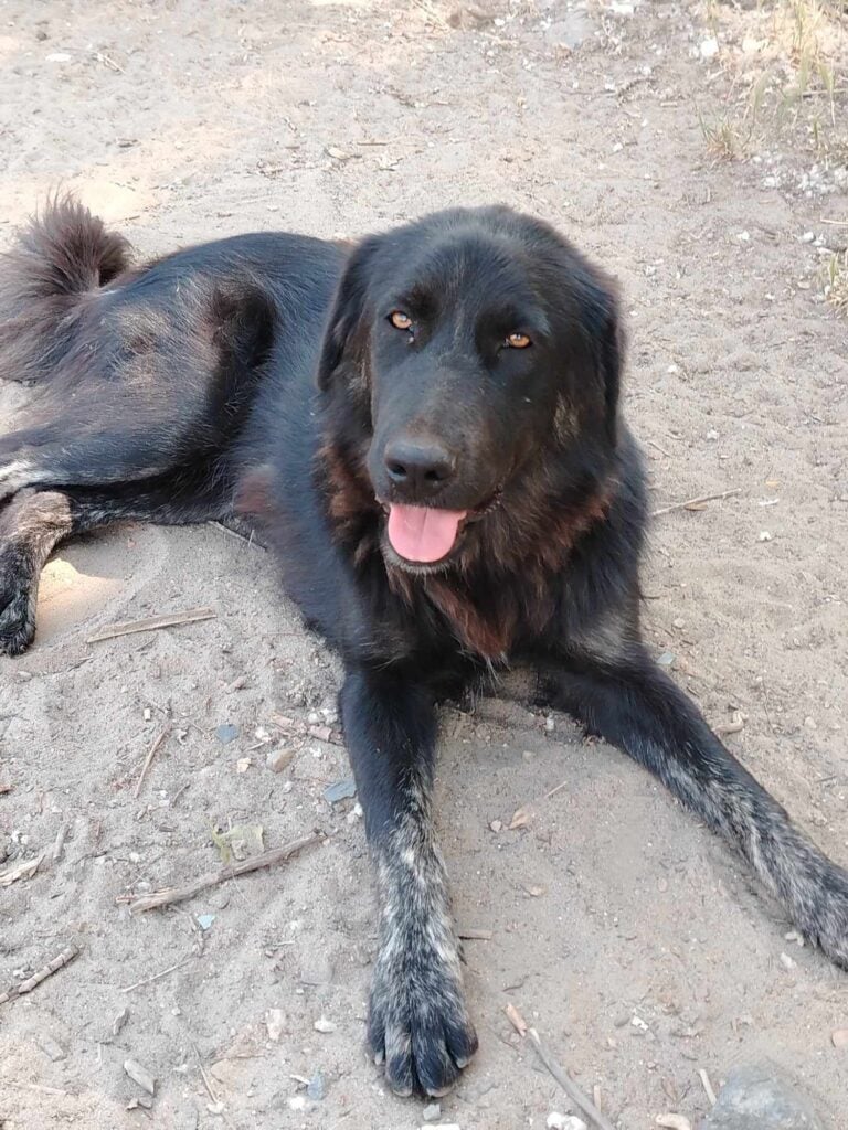 received_492058549871674