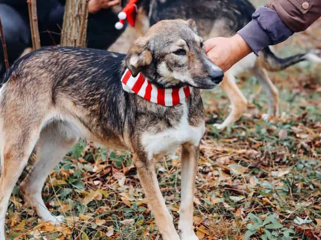 20231115120442_IMG_0689