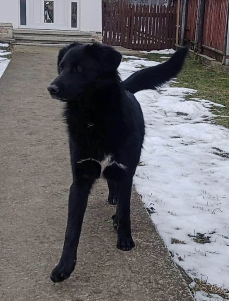 C5EA6E36-023B-4A1F-9483-5566EC7F0EED