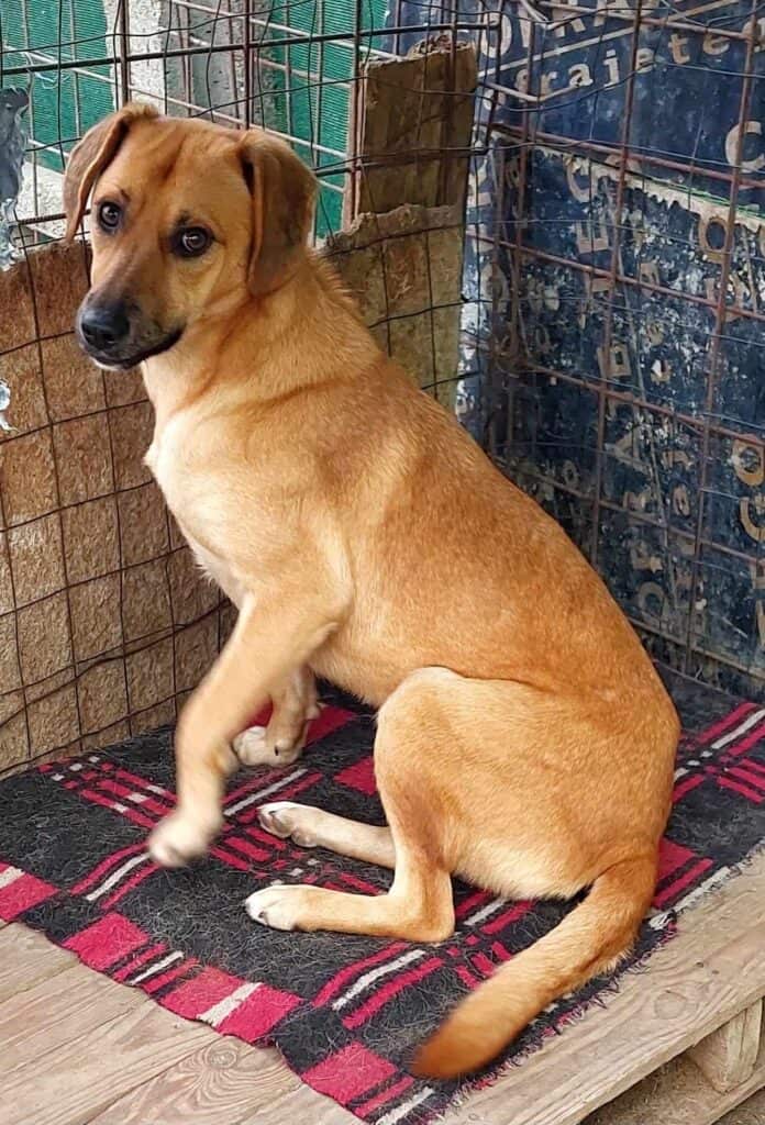 385521986_3523239981273039_443301555262167059_n