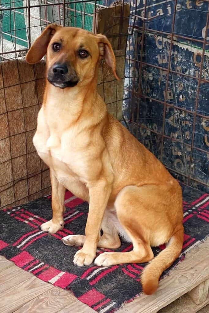 385546833_1365037087648606_7354048972900458462_n