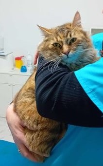 417241536_1624680425024982_4204100476288272208_n