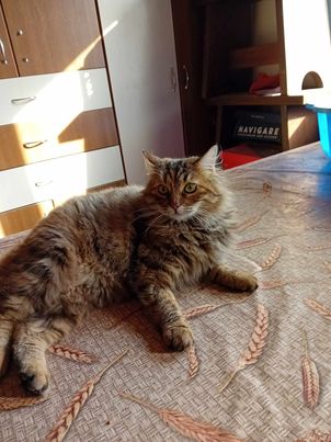 427040003_24848209311493847_2241617130795938214_n