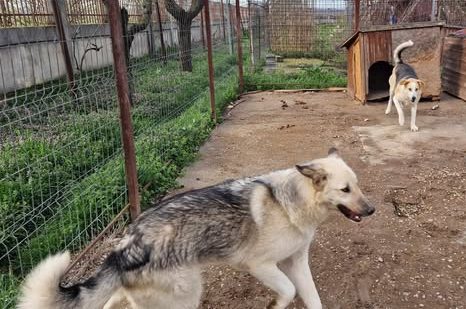 486633344_971132978551829_313073937260603913_n (1)