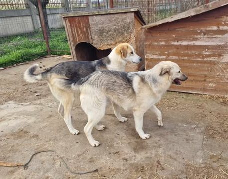 487136433_1650488015621142_934573487779797661_n