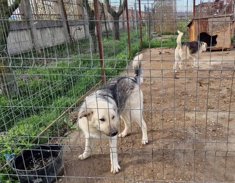 487340128_1319795269120635_2892832025112220707_n (1)