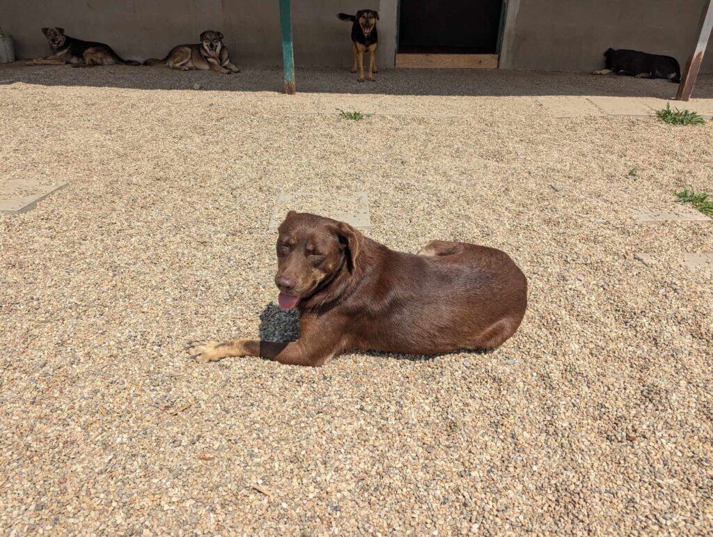 received_3104256086425512