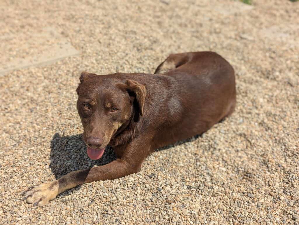 received_494597056356513