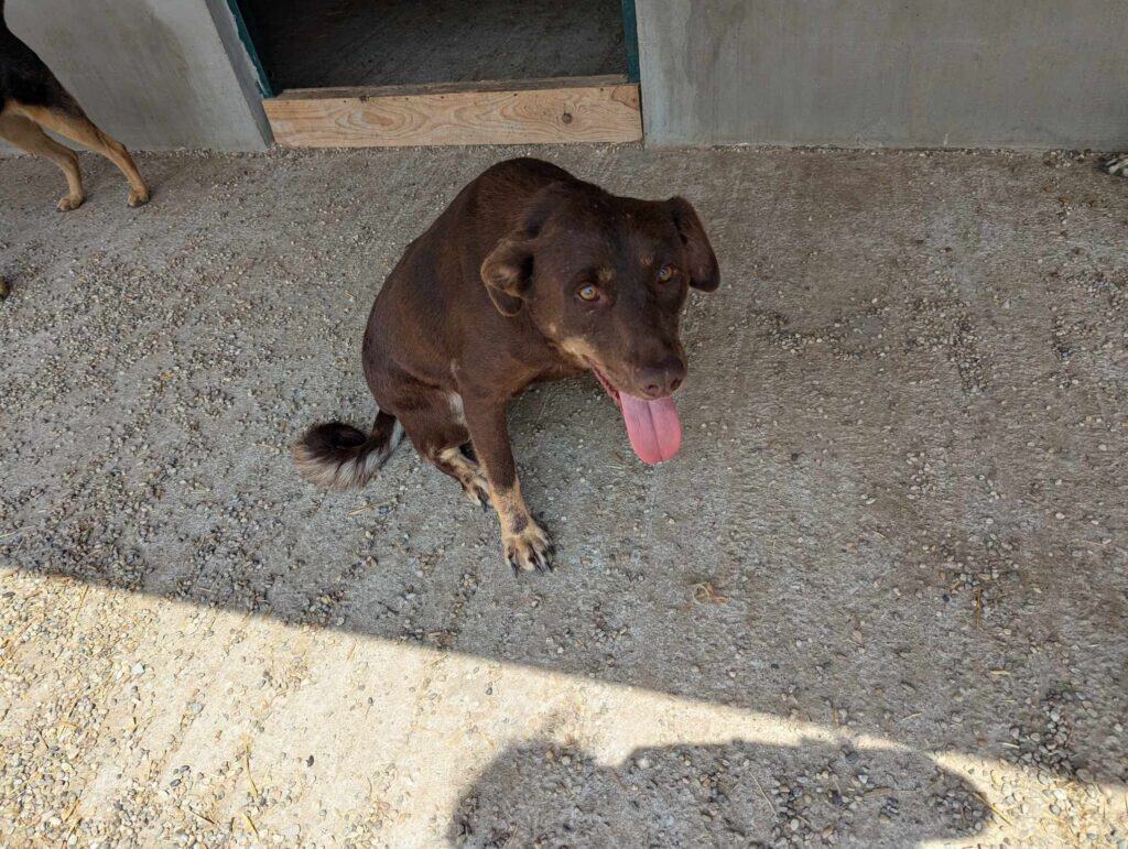 received_505980942075098