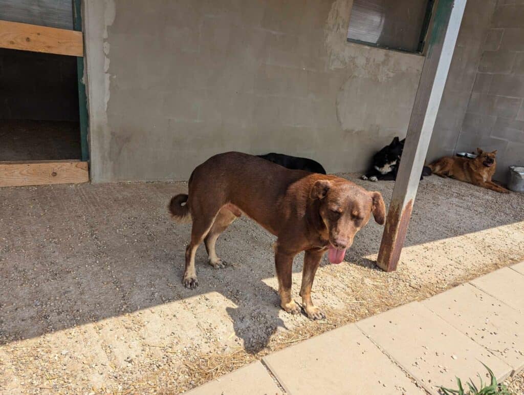 received_739379384865188