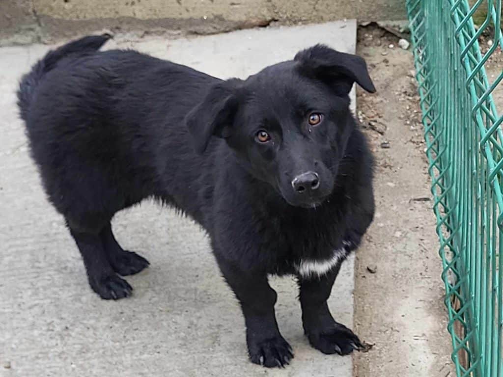 470052747_568906746003472_1773416480551802522_n