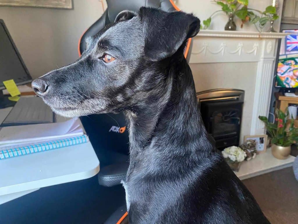 482183218_1001201855320047_7447029509606844756_n