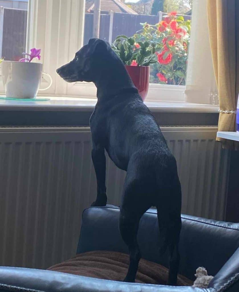 486859875_639507722257721_8076069505953165555_n