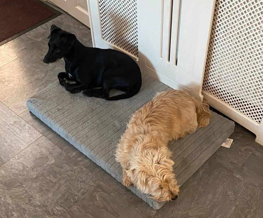 488468661_1346232559922965_4692063071932442332_n