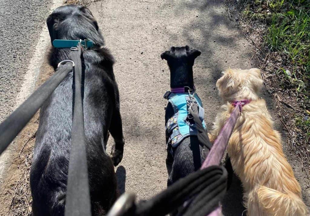 488861982_1052636440047295_2621397781055695733_n