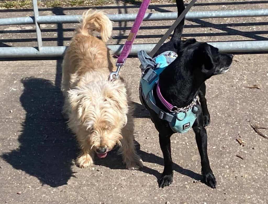 488866713_1008036654129018_1545839597799898701_n