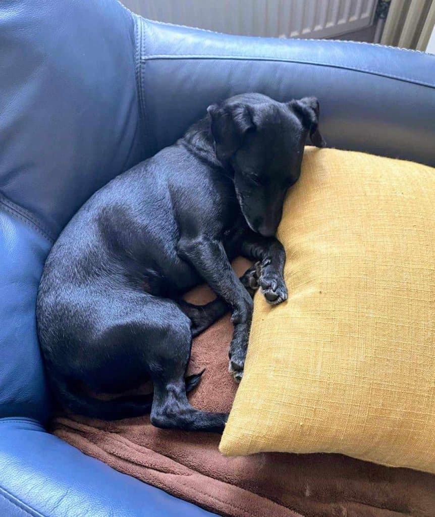 489512305_609870778718356_5507978657980092439_n