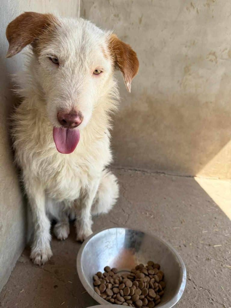 491023713_1203225894543256_7128108527455479375_n